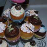 Cupcakes 08