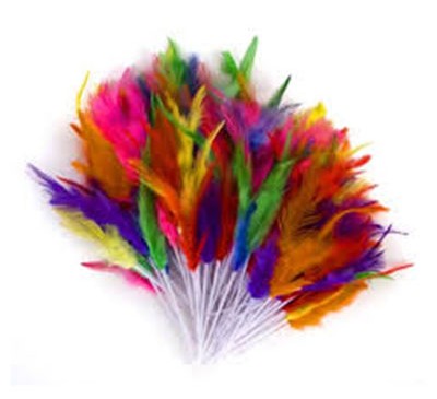 Plumas