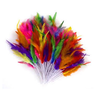 Plumas